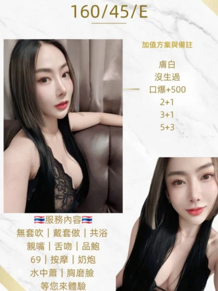 桃園定點茶-綾香/160/45/22/E
