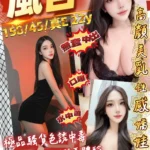 桃園定點茶-風杏/158/45/22/E