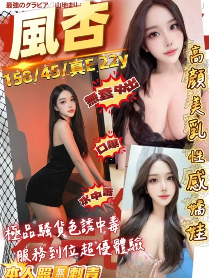 桃園定點茶-風杏/158/45/22/E