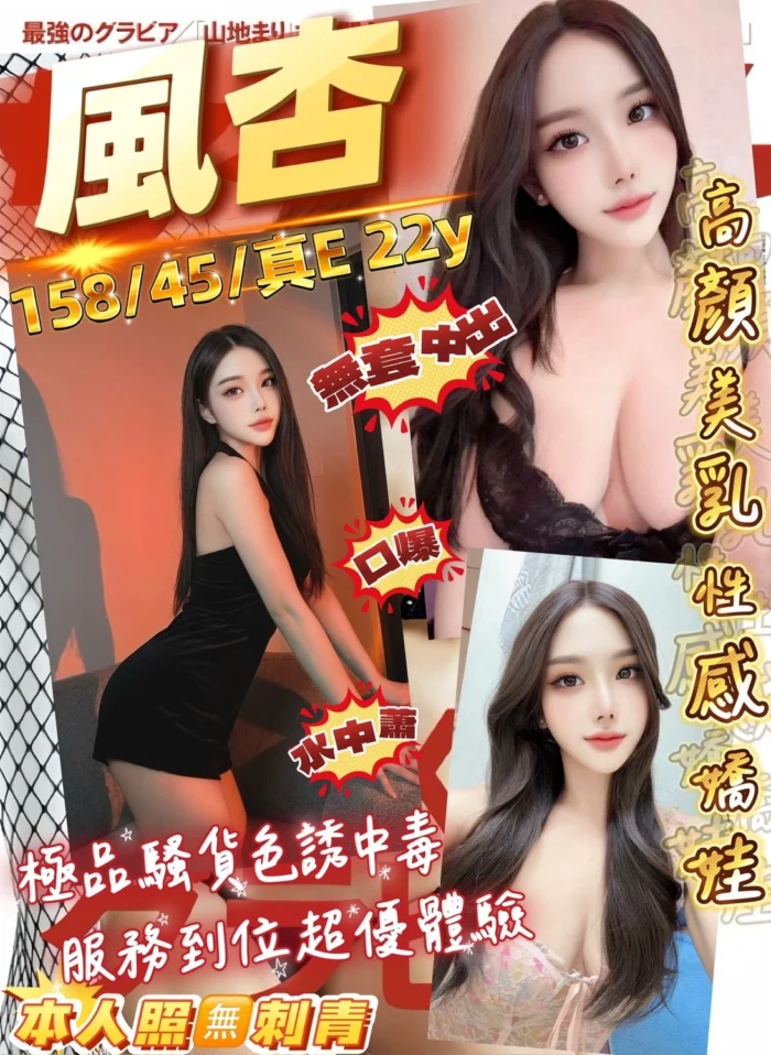桃園定點茶-風杏/158/45/22/E 桃園定點茶-風杏/158/45/22/E