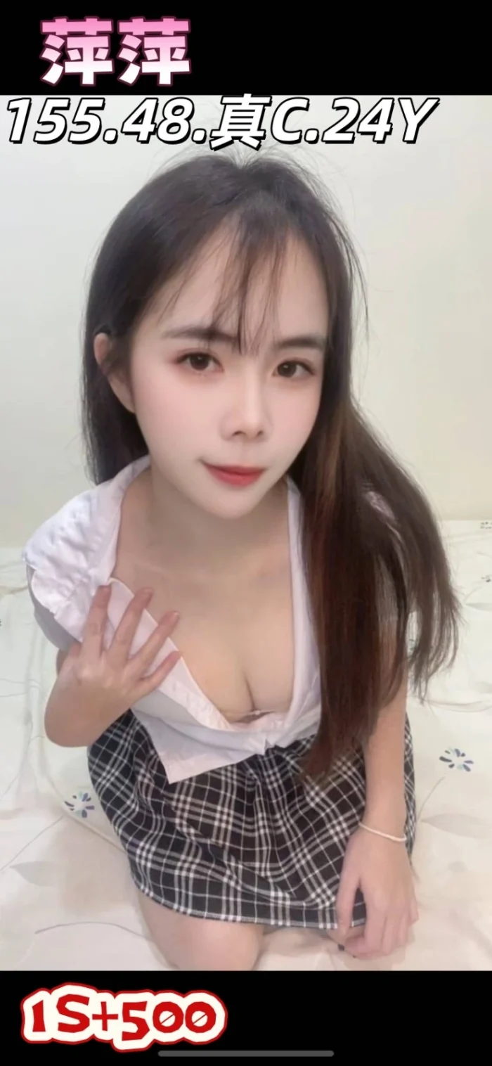 雲林定點茶-萍萍/155/48/24/C