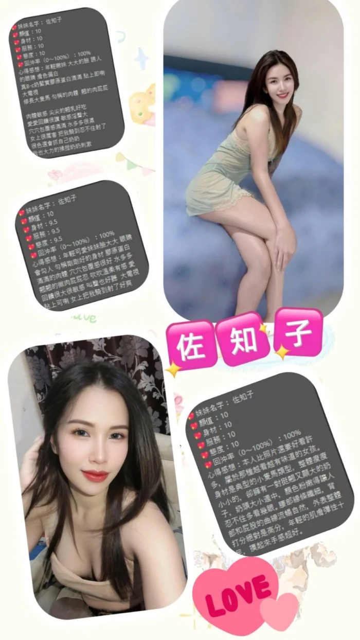 桃園定點茶-佐知子/158/45/20/C