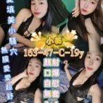 屏東定點茶-小葵/163/47/19/C
