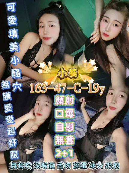 屏東定點茶-小葵/163/47/19/C