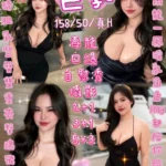 新竹定點茶-巨乳/158/50/?/H