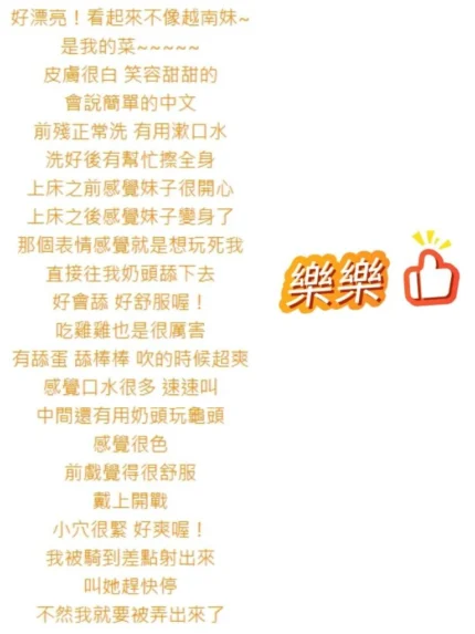桃園定點茶-樂樂/160/43/22/D