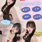 新竹定點茶-王心凌/158/44/22/D