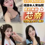 台中定點茶-芯奈/153/43/22/D