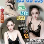桃園定點茶-詩意美/163/48/20/F