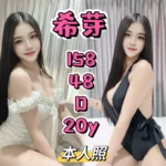 新北定點茶-希芽/158/48/20/D
