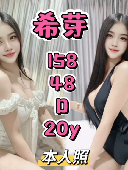 新北定點茶-希芽/158/48/20/D