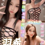 台南定點茶-羽希/163/42/23/F