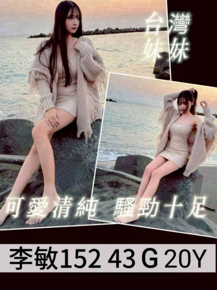 台南外送茶-李敏/152/43/20/G