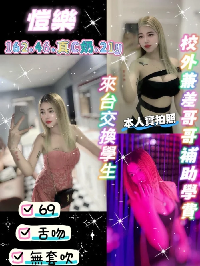 桃園定點茶-愷樂/162/46/21/D 桃園定點茶-愷樂/162/46/21/D