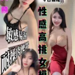 嘉義定點茶-藝琳/165/48/20/D