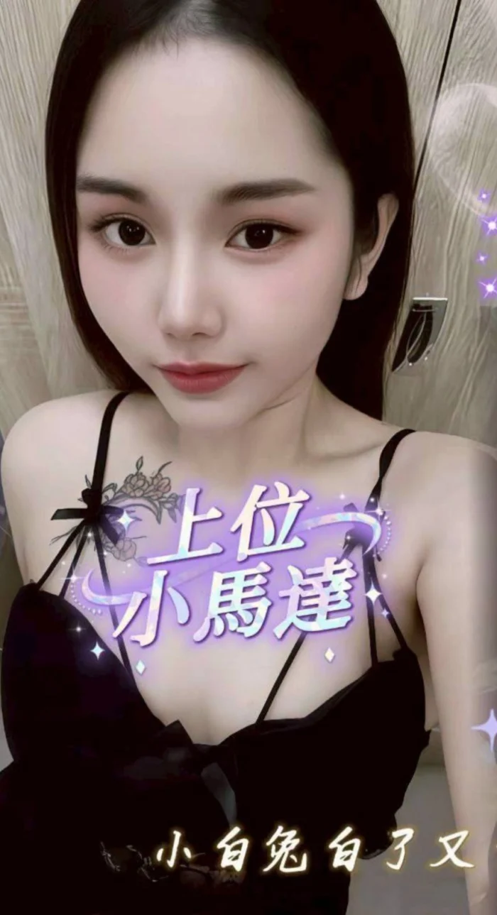 南投定點茶-小兔/160/50/23/C