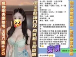 高雄定點茶-安琪/166/43/20/E