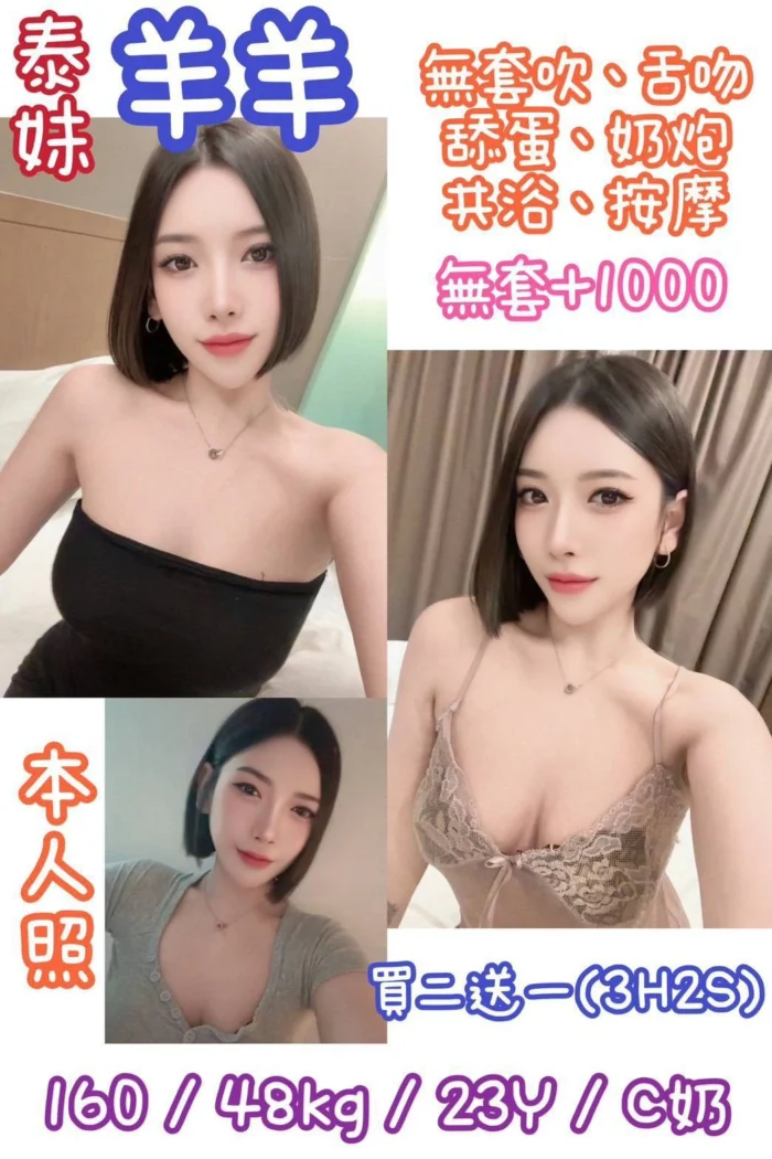 台北定點茶-羊羊/160/48/23/C