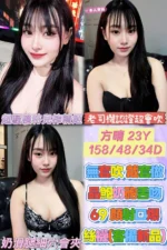 雲林定點茶-方晴/158/48/23/D