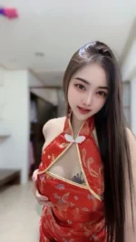 苗栗定點茶-糖糖/162/47/?/C