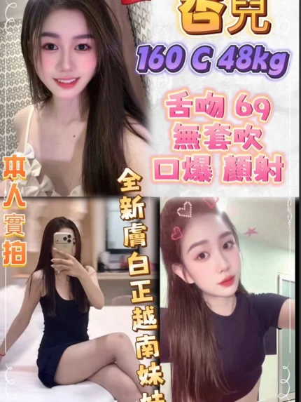 新北定點茶-杏兒/160/48/21/C