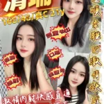 桃園定點茶-清珊/160/48/21/C