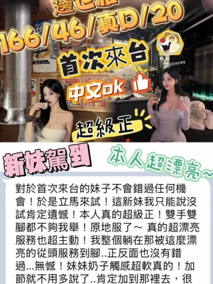 台中外送茶-邊世雅/166/46/20/D