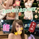 台南定點茶-語心/157/47/25/D