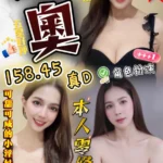 苗栗定點茶-迪奧/158/45/23/D