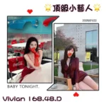 台北外送茶-Vivian/168/48/24/D