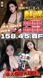 台中定點茶-魅惑/158/45/25/F