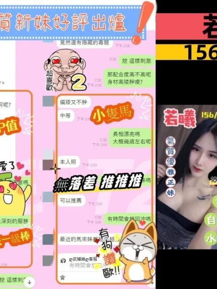 嘉義定點茶-若曦/156/48/24/D