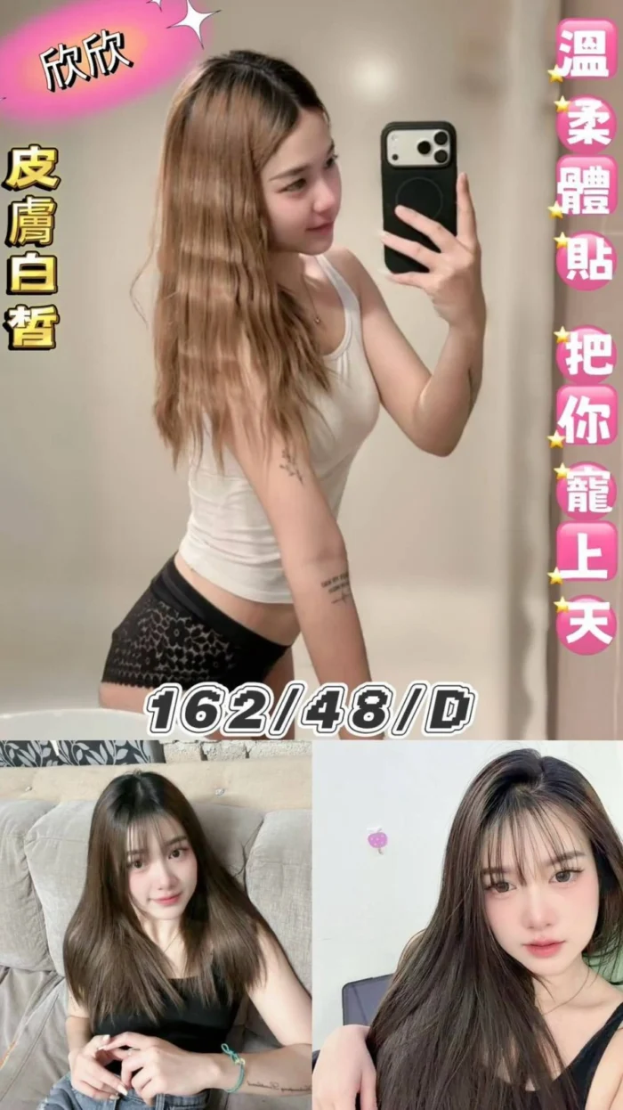 台北定點茶-欣欣/162/48/23/D 台北定點茶-欣欣/162/48/23/D