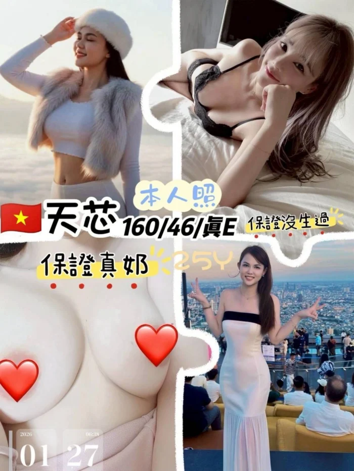 桃園定點茶-天芯/160/46/25/E 桃園定點茶-天芯/160/46/25/E