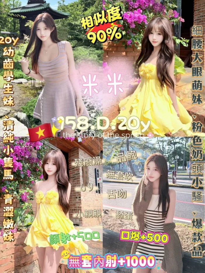 台北定點茶-米米/158/45/20/D 台北定點茶-米米/158/45/20/D