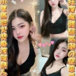 雲林定點茶-欣慈/152/45/25/C