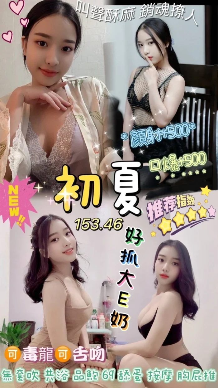 桃園定點茶-初夏/153/46/24/E 桃園定點茶-初夏/153/46/24/E
