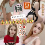 新竹定點茶-拼圖/159/46/?/D