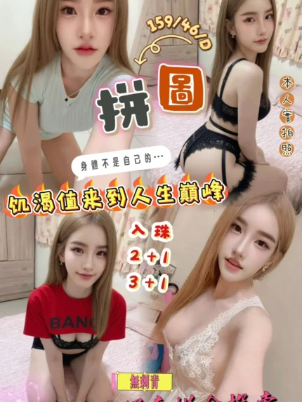 新竹定點茶-拼圖/159/46/?/D