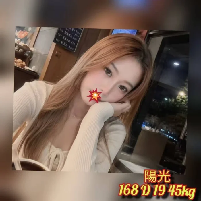 台北外送茶-陽光/168/45/19/D