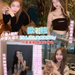 桃園定點茶-歐若拉/154/37/21/C