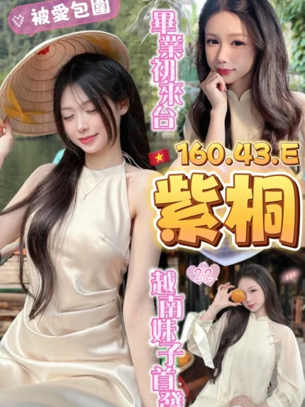 台中定點茶-紫桐/160/43/?/E