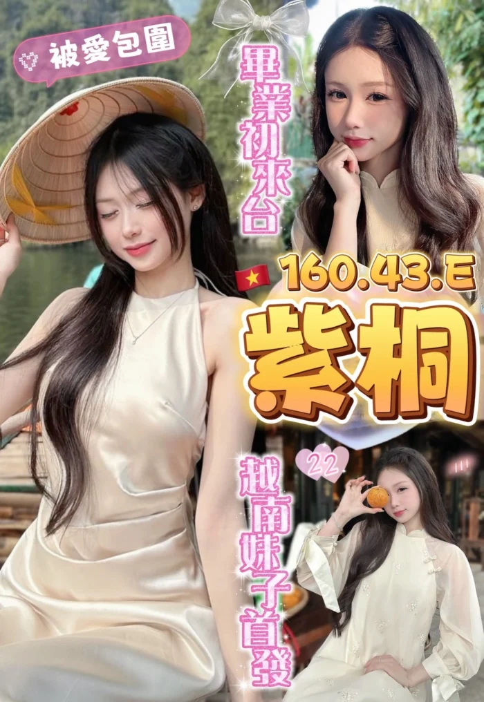 台中定點茶-紫桐/160/43/?/E 台中定點茶-紫桐/160/43/?/E