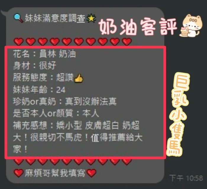 南投定點茶-奶油/153/42/22/H