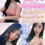 新竹定點茶-艷莉/155/44/24/E