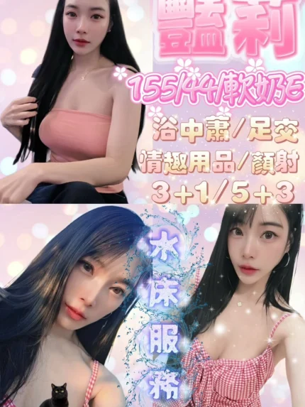 新竹定點茶-艷莉/155/44/24/E