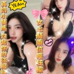雲林定點茶-芯妍/155/44/23/D