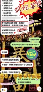 新竹定點茶-羽妃/163/45/21/D