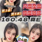 台中定點茶-盼盼/160/48/22/E