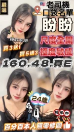 台中定點茶-盼盼/160/48/22/E